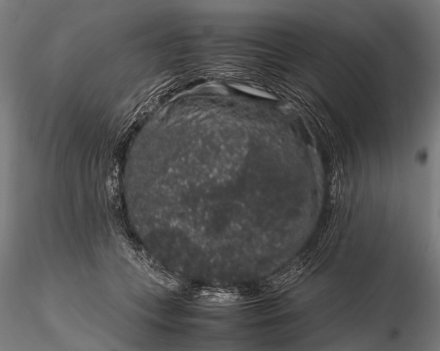 X0000116100559200912071302