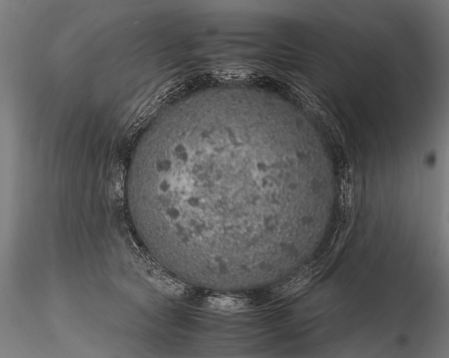 X0000116100561200912071302