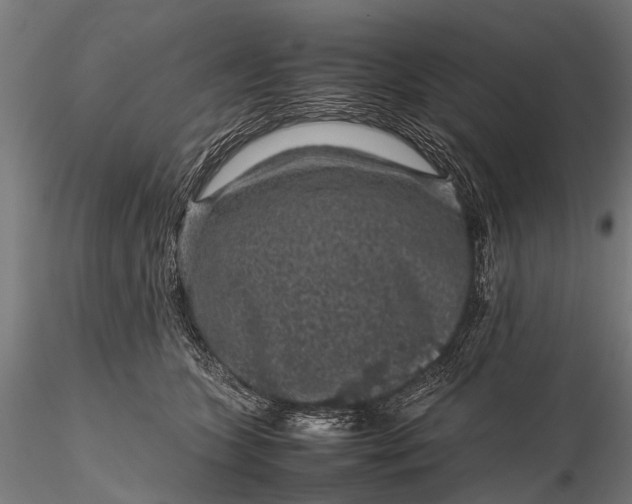 X0000116100563200912071302