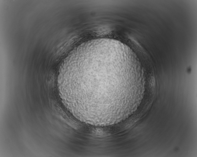 X0000116100565200912071302