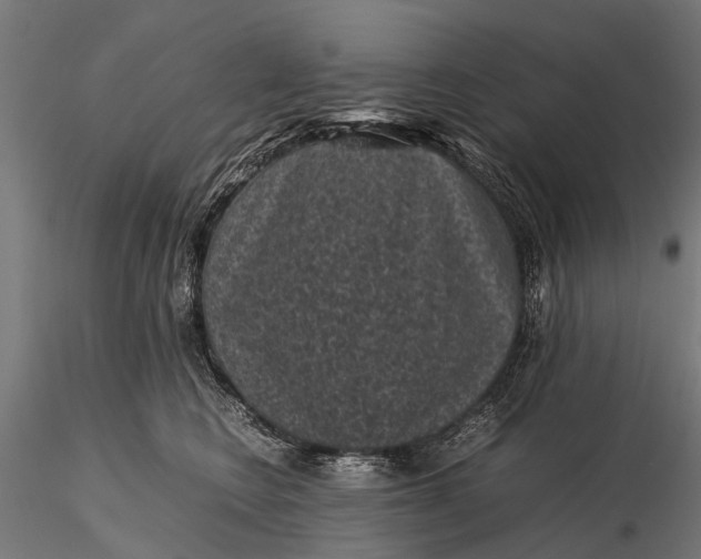 X0000116100566200912071302