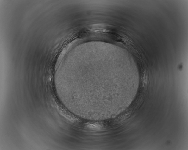 X0000116100567200912071302