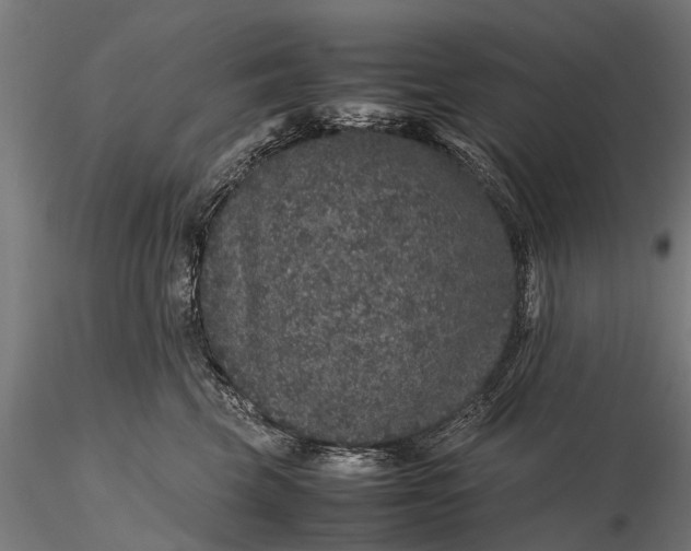 X0000116100569200912071302