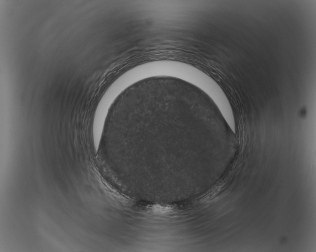 X0000116100570200912071302