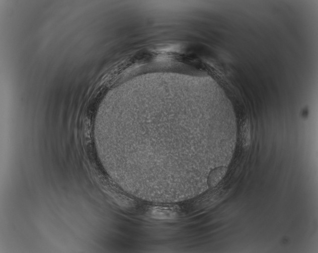 X0000116100571200912071302