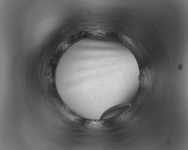 X0000116100573200912071302