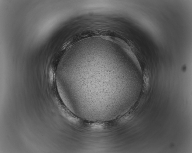 X0000116100574200912071302