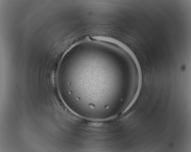 X0000116100575200912071303