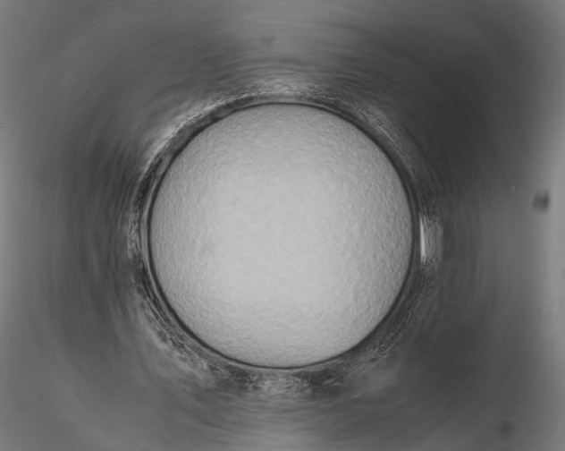 X0000116100579200912071302