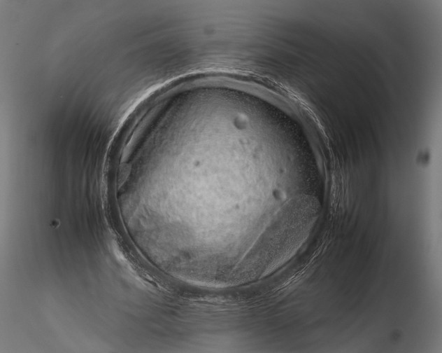 X0000116100580200912071302