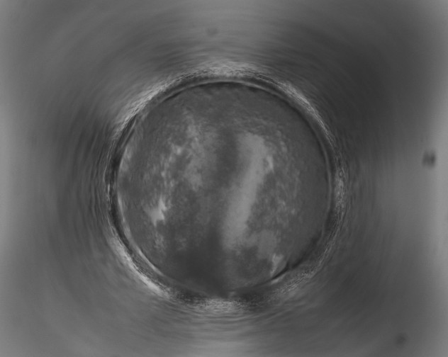 X0000116100581200912071302