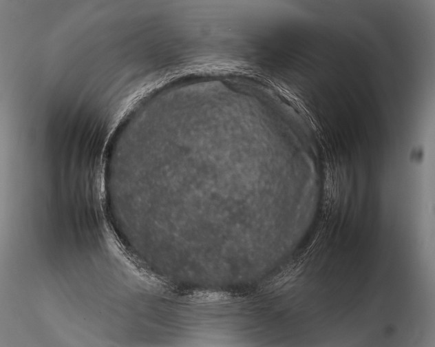 X0000116100582200912071302