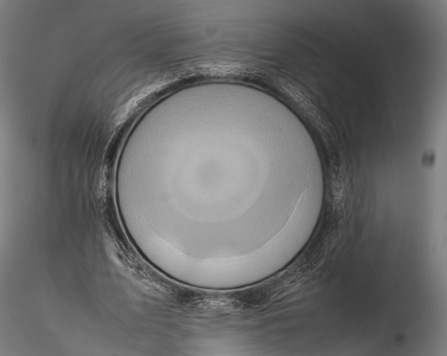 X0000116100583200912071302