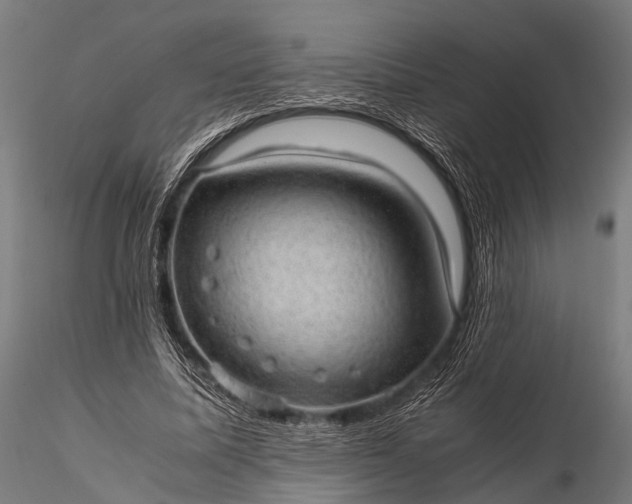 X0000116100587200912071302