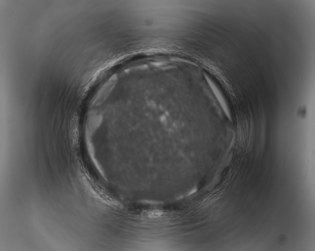 X0000116100588200912071302