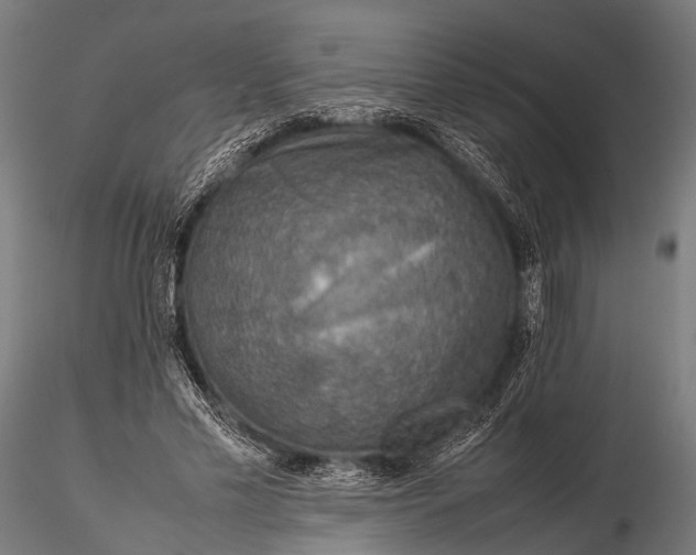 X0000116100589200912071302