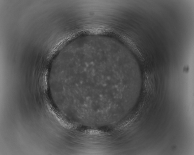 X0000116100590200912071302