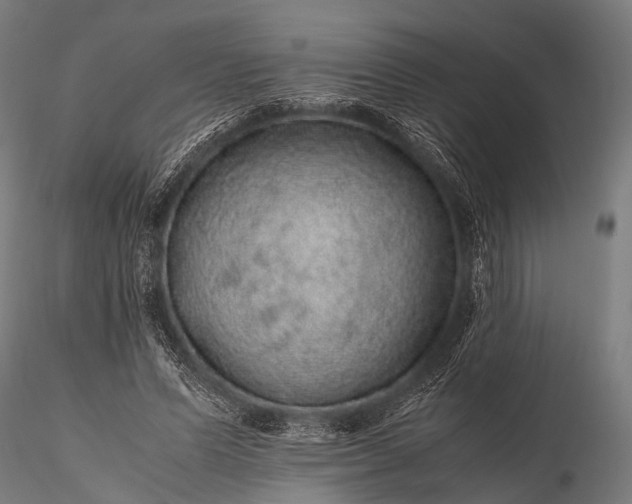 X0000116100591200912071301