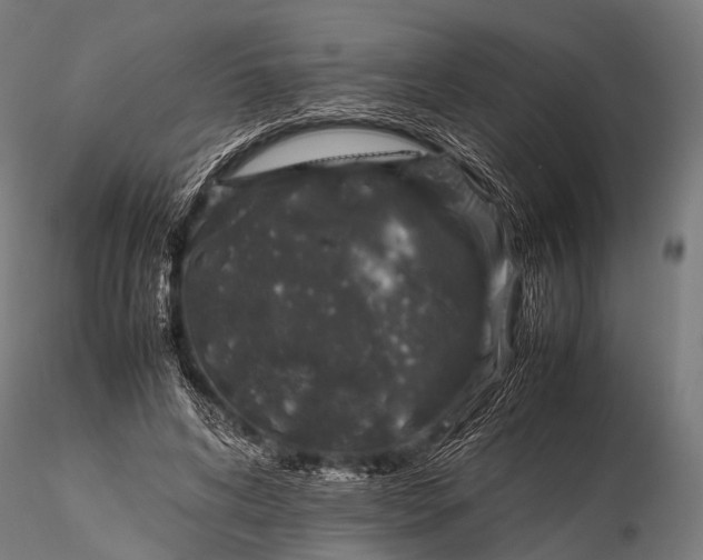 X0000116100592200912071301