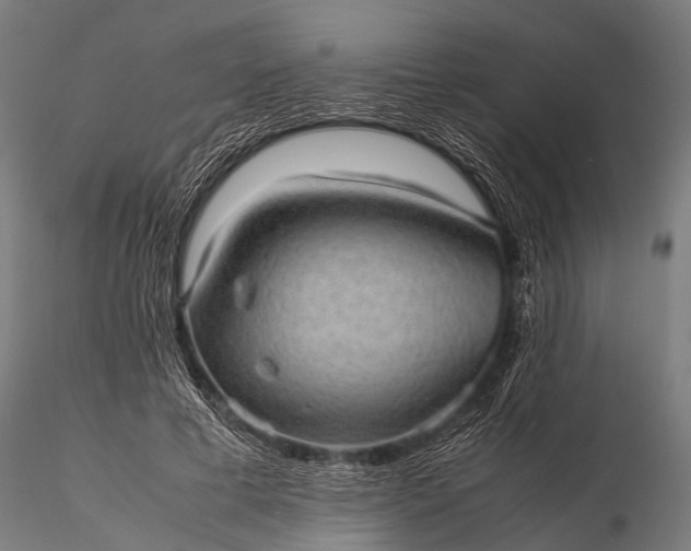 X0000116100593200912071301