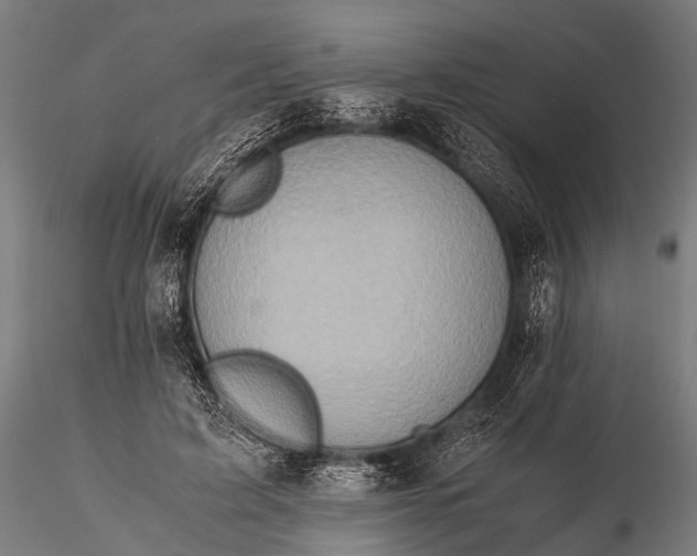 X0000116100595200912071301