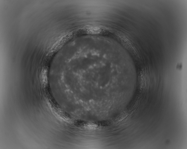 X0000116100598200912071301