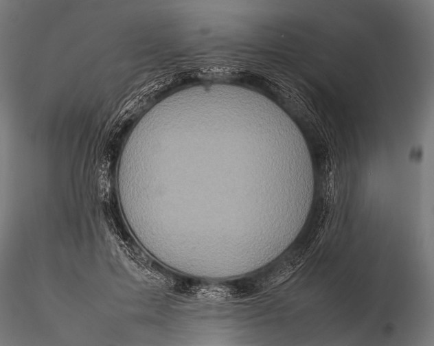 X0000116100599200912071301