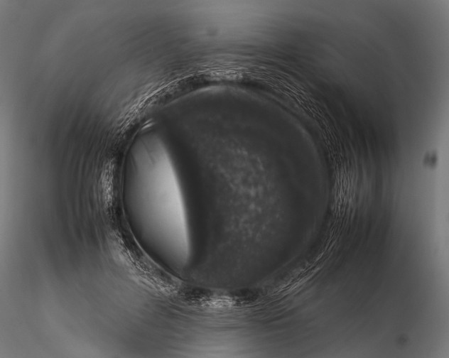 X0000116100600200912071301