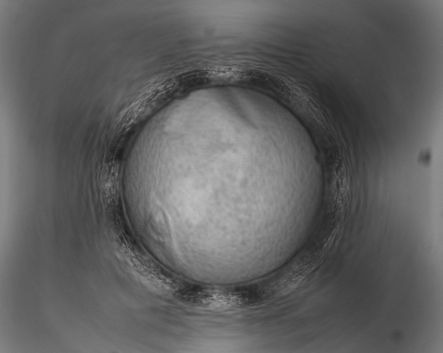 X0000116100601200912071301