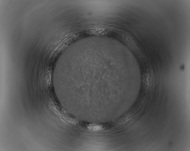 X0000116100602200912071301