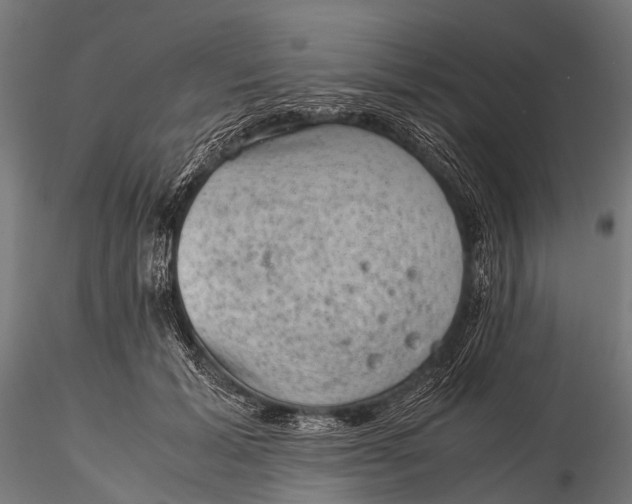 X0000116100605200912071301