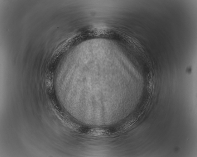 X0000116100607200912071301