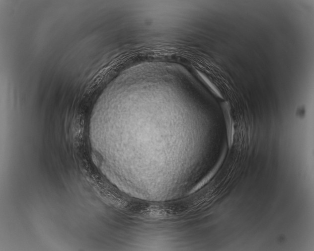 X0000116100608200912071301