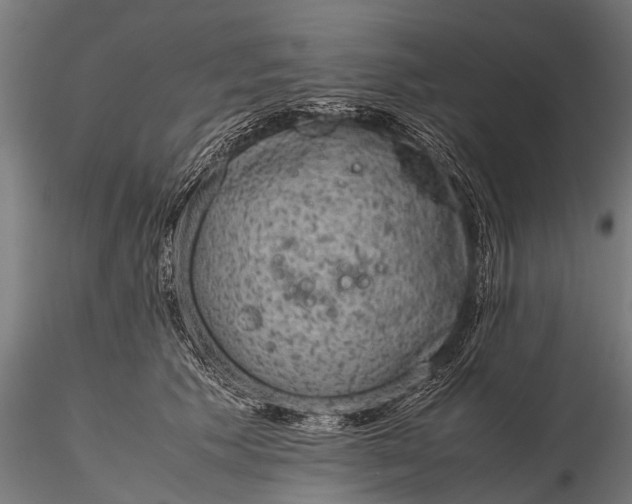 X0000116100609200912071301