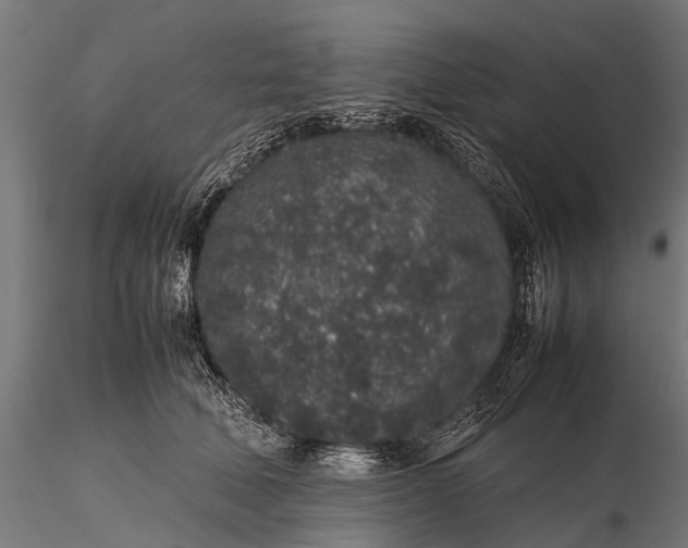 X0000116100610200912071301