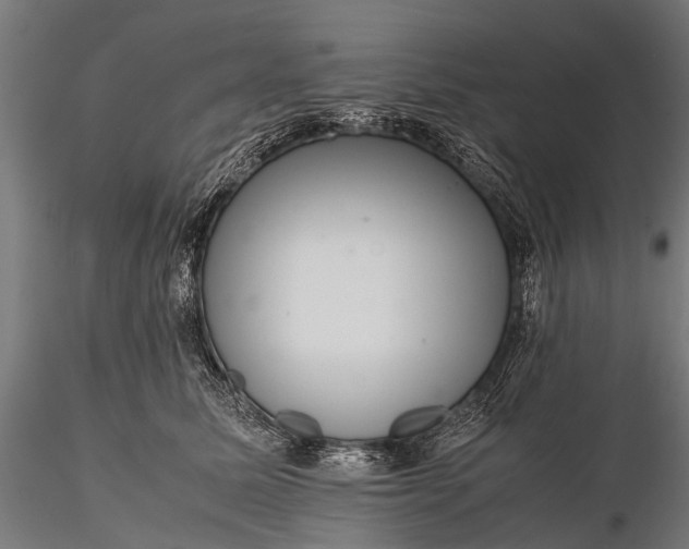 X0000116100611200912071301