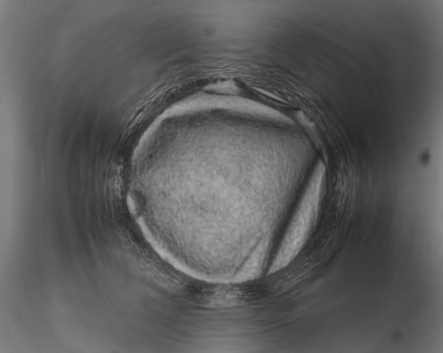 X0000116100612200912071301