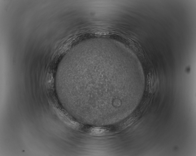 X0000116100614200912071301