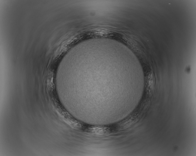 X0000116100615200912071301