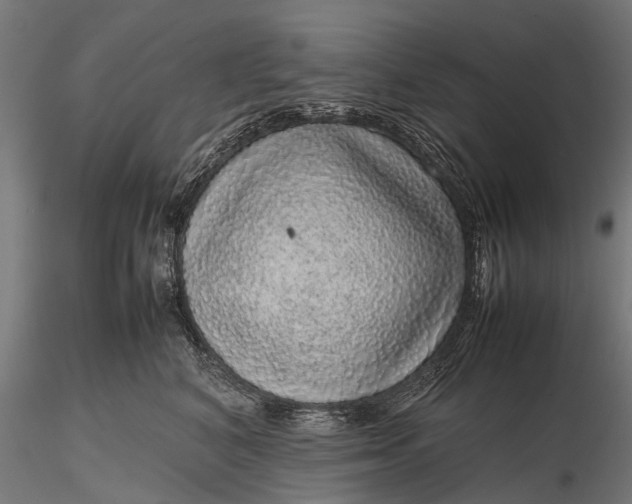 X0000116100616200912071301