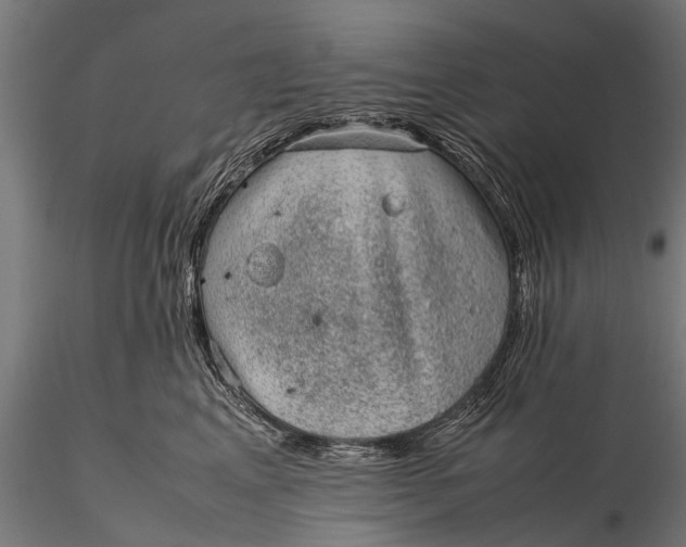 X0000116100617200912071301