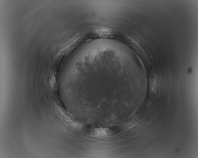 X0000116100618200912071301