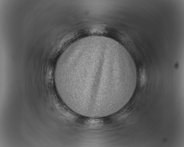 X0000116100619200912071301