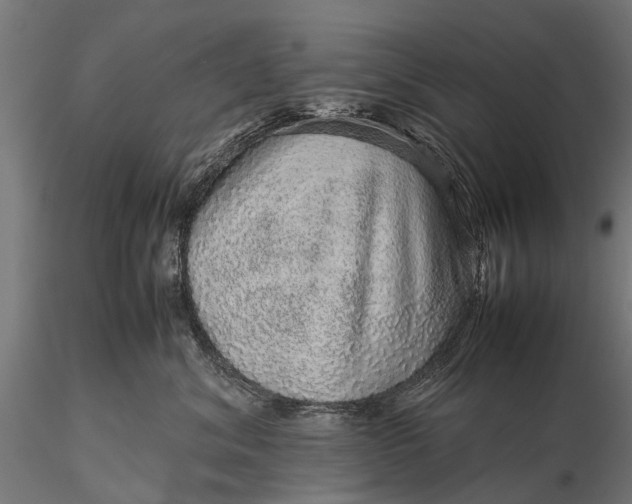 X0000116100620200912071301