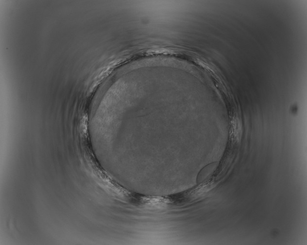 X0000116100621200912071301