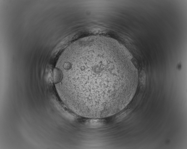 X0000116100622200912071301