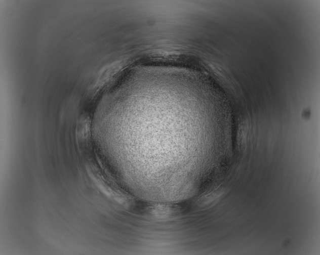 X0000116100623200912071301