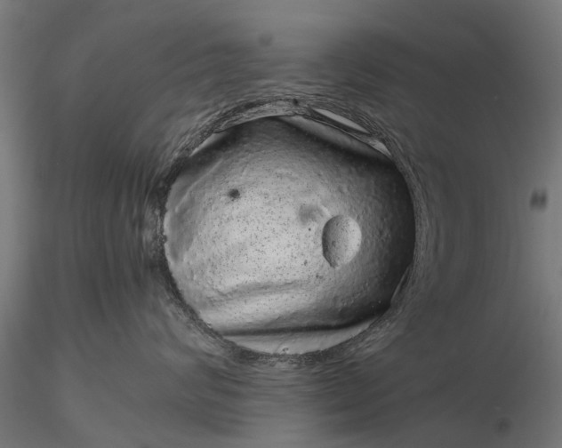 X0000116100624200912071301