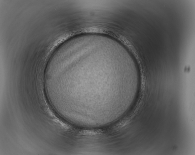 X0000116100625200912071300