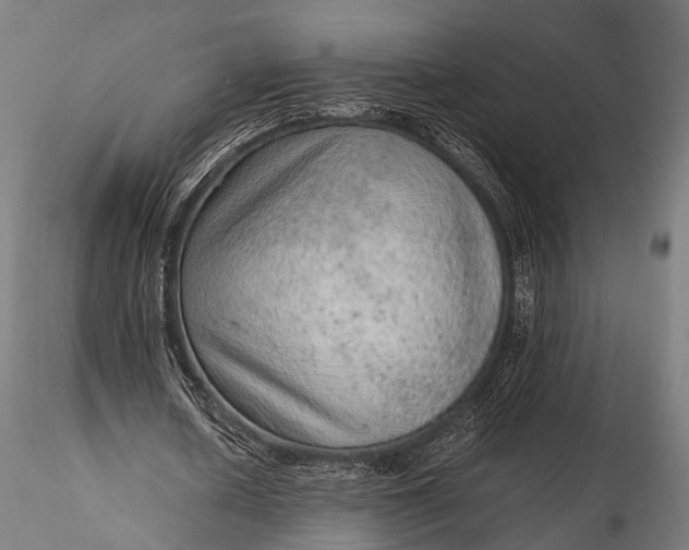 X0000116100626200912071300